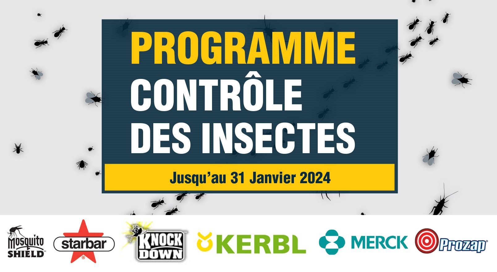 Placement Insecte 2024
